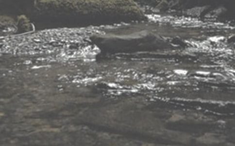 СϪ������������800��