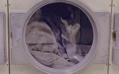 ϴ�C(j��)���f����