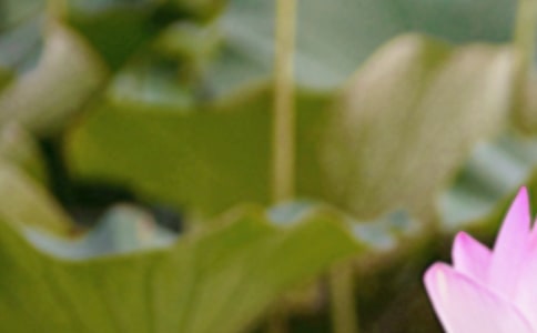 2022�����վ���