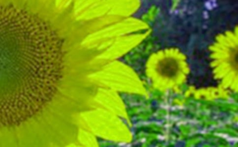 �а��^�����տ����(d��ng)�̰�