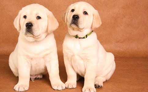 ؝�Ե�С���������꼉(j��)��(y��u)������