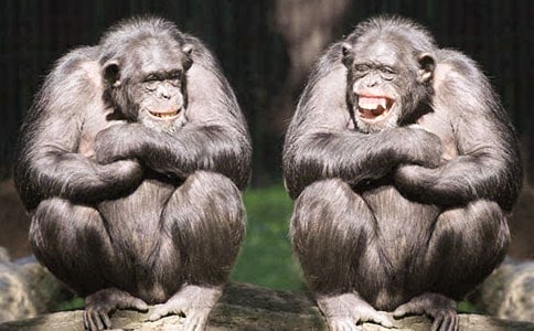 ����ħ���������꼉(j��)����