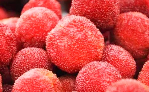 ���x��÷����600����ƪ