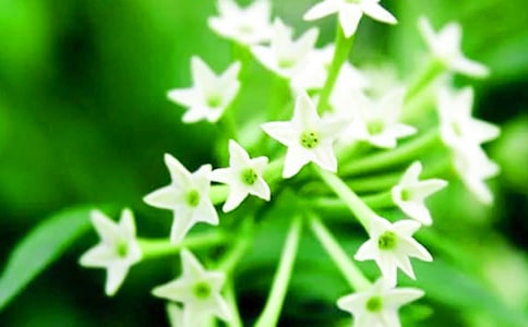 �N��ҹ��(l��i)�����꼉(j��)����