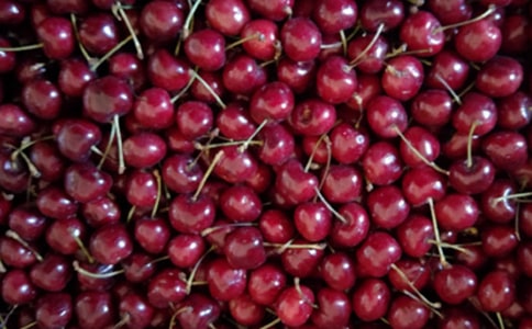 介紹櫻桃的說(shuō)明文