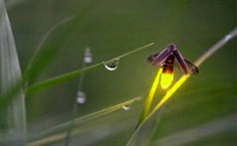 �xΞ���x�иУ����x16ƪ��