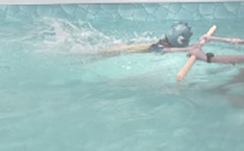 第一次游泳作文必備(15篇)