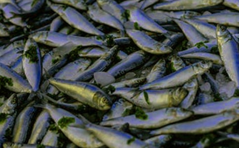 �H�H�~�����꼉����