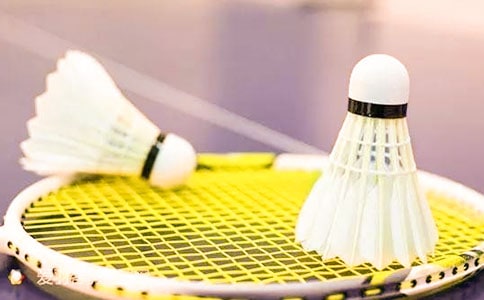 羽毛球賽通訊稿(10篇)