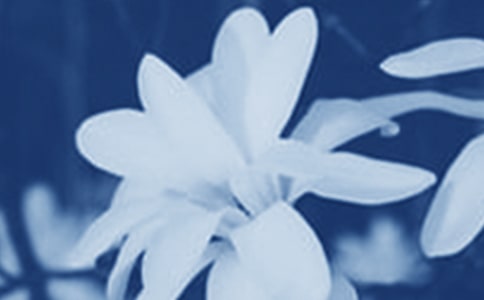 �������m���^����ӛ450�ַ���