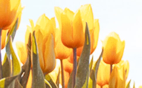 ��ʮ�˶������㡷�̌W(xu��)��˼