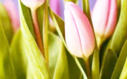 ���������꼉����