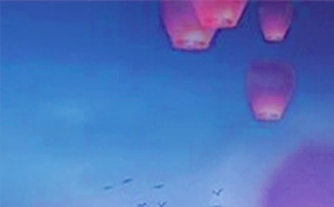 2022Ԫ�����i��(hu��)�߄����������x9ƪ��