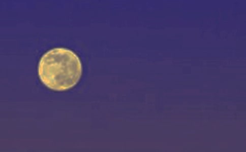 �����A�������@ɺ