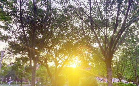 2022���°��簲����Ȧ�����Z�ϼ�40��