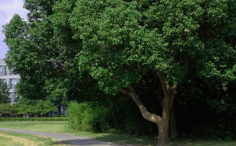 ���P(gu��n)�簲��־���Z�43��