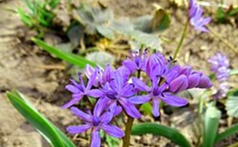 2022�꺆(ji��n)���Ĝ�ů���簲���Z����Ȧ17��