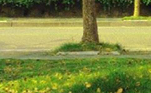 2023���(l��)־�簲�Z䛼��\32��