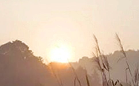 ���ε��簲��־���Z䛼���43�l