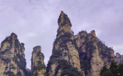 �����á����ҽ����꼉����3ƪ