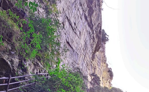 關(guān)于張家界四年級(jí)作文匯編8篇