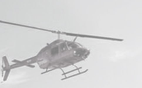 ��ֱ���w�C���꼉���ģ����x33ƪ��