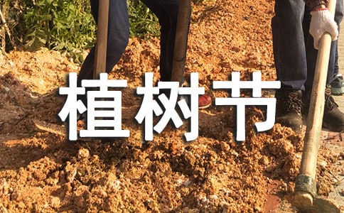 ֲ��(sh��)��(ji��)���h��(sh��)���ļ�����ƪ