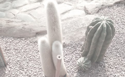 ֲ��@�^��У����x21ƪ��