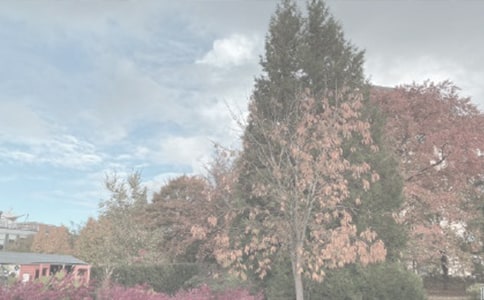 ����ɽֲ��@���꼉����600��