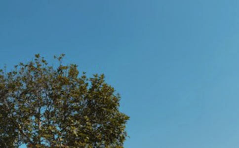 �����ů�↖����Ӽ��\