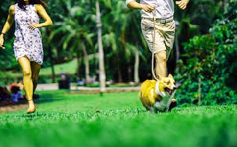 ���κ��̵���ĩף���Z