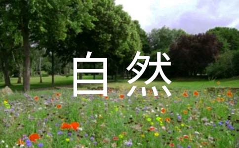 ˮ����;С�W��Ȼ�̰�