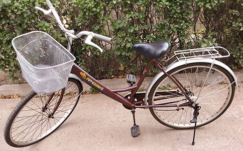 第一次學(xué)騎自行車作文(合集11篇)