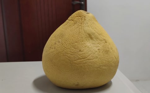 精選描寫柚子作文合集十篇