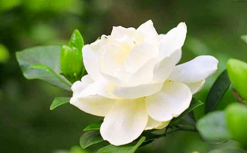 �����ėd�ӻ����ģ����x45ƪ��