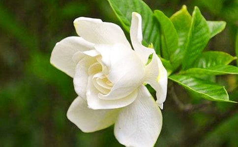 �d�ӻ����ġ�����30ƪ