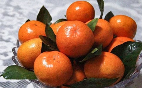 美文欣賞橘子花開(kāi)時(shí)