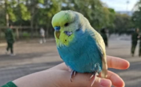 �W�^С�W(xu��)������550��