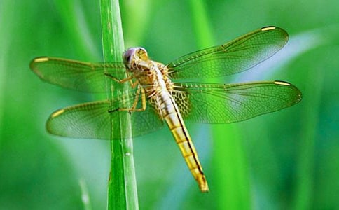 С���ѻ������꼉(j��)����