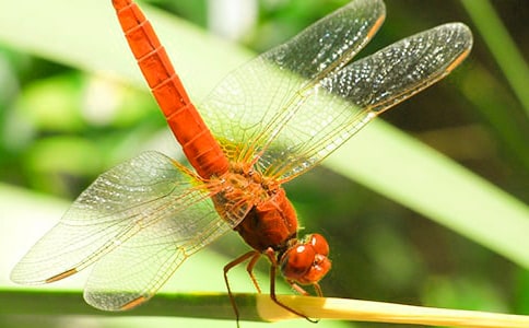 ���o(h��)���ѳ��h��