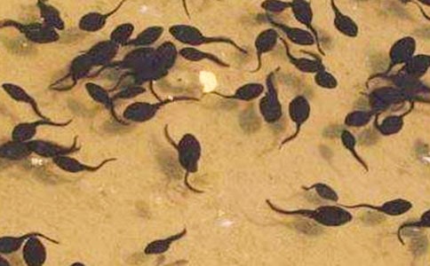 �옷(l��)��С����f(shu��)�n��