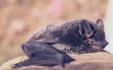 ����������_(d��)���̌W(xu��)�O(sh��)Ӌ(j��)����