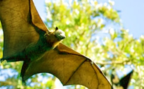 ���P(gu��n)�����������꼉