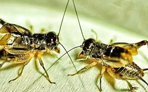 ���סլ�Ľ̌W(xu��)�O(sh��)Ӌ(j��)