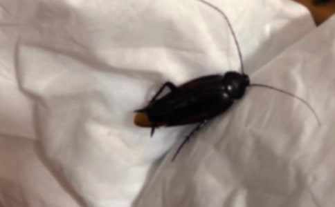 �ɑz��������꼉(j��)����