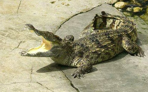 �ڵ����Ą���ʯ�c�{�~ʯɢ��